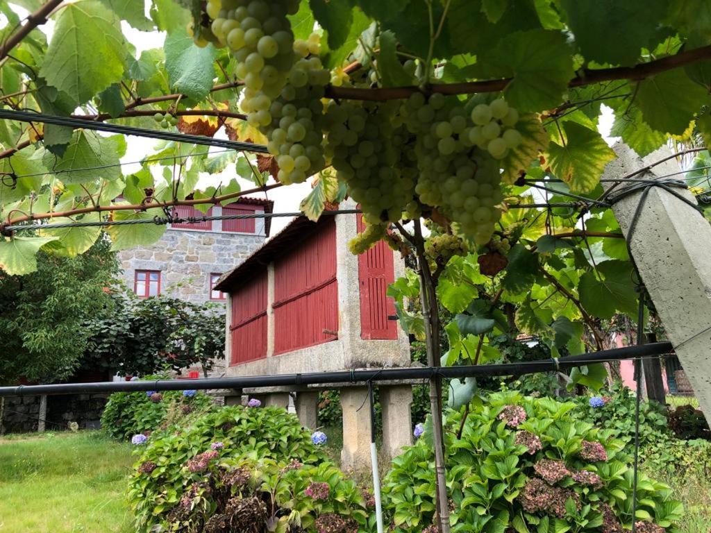 펠게이라스 Quinta De Maderne 빌라 외부 사진