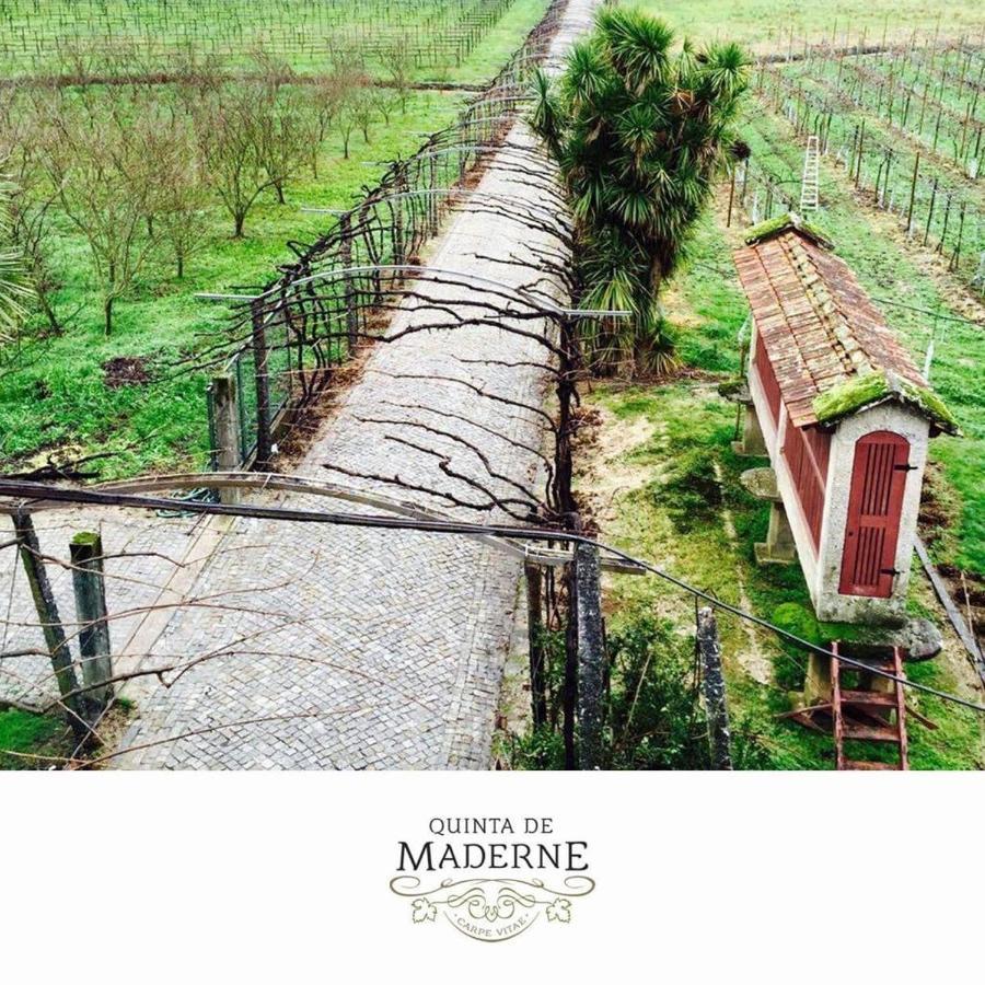 펠게이라스 Quinta De Maderne 빌라 외부 사진