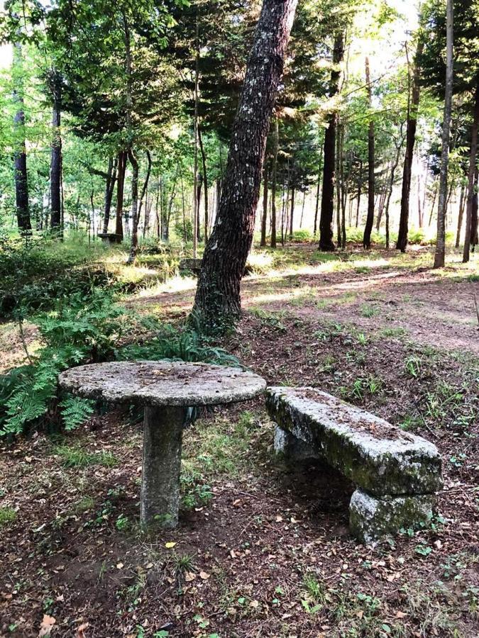 펠게이라스 Quinta De Maderne 빌라 외부 사진