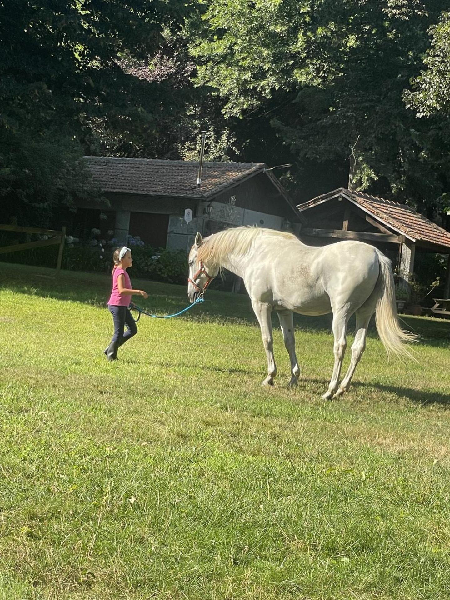 펠게이라스 Quinta De Maderne 빌라 외부 사진